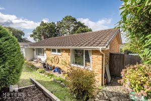 Front- click for photo gallery